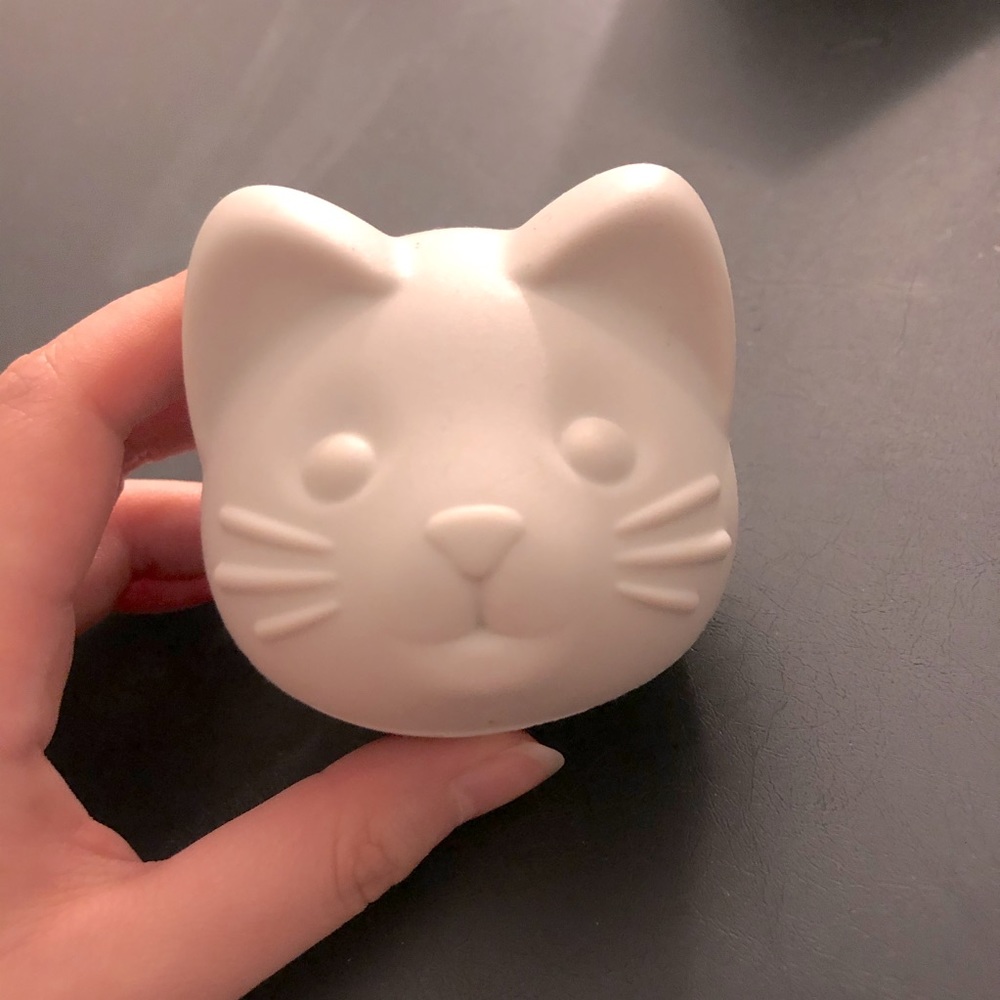 Kitty cat 🐱 ice cube mold 🧊